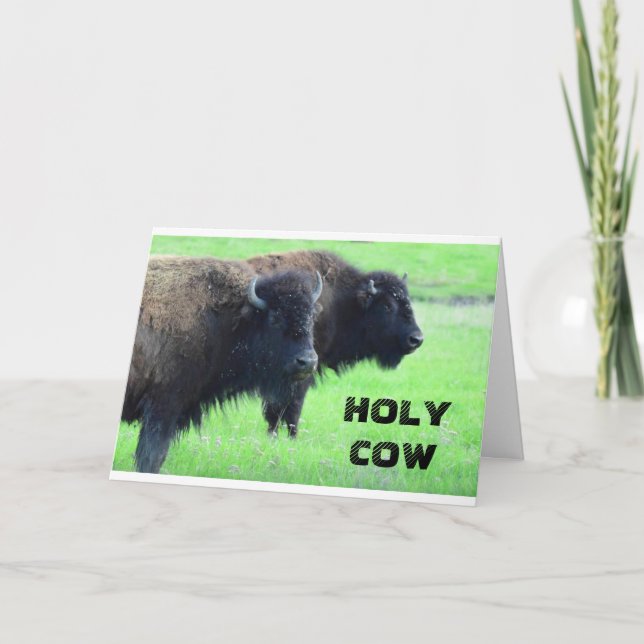 ****40:e BIRTHDAY*** FRÅN COMEDIC BUFFALO Kort (Framsida)