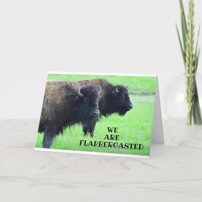 ****40:e BIRTHDAY*** FRÅN COMEDIC BUFFALO Kort (Framsida)