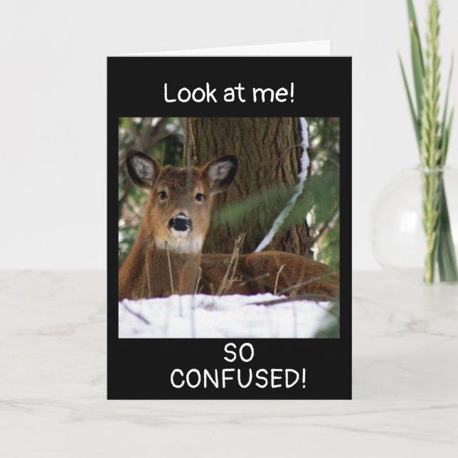 "40:e BIRTHDAY ÖNSKEMÅL" FRÅN EN HJORT Kort (Framsida)