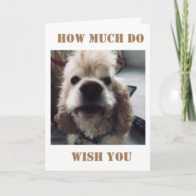 **40:e FÖDELSEDAGEN** WOOF WOOF SA SPANIEL Kort (Framsida)