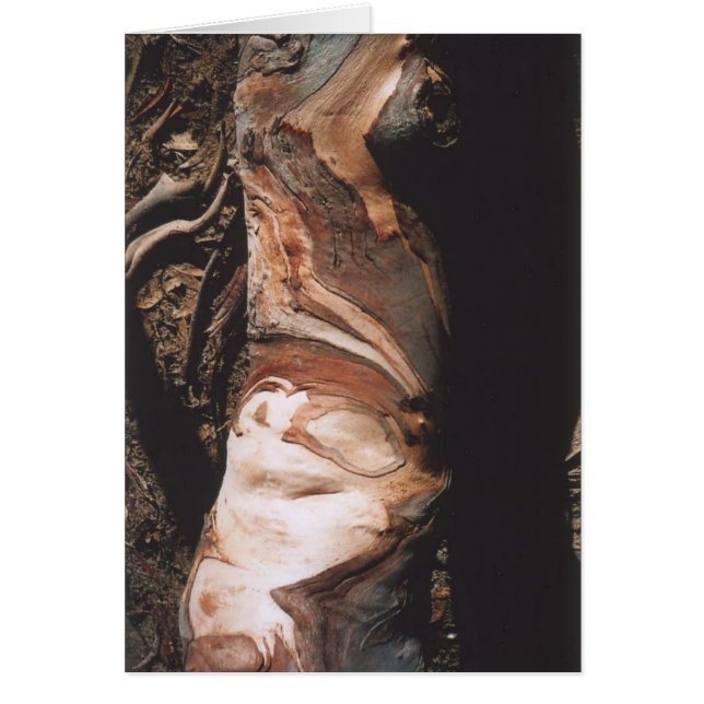 40. Skällmönster, Kalifornien Hälsningskort (Framsidan)