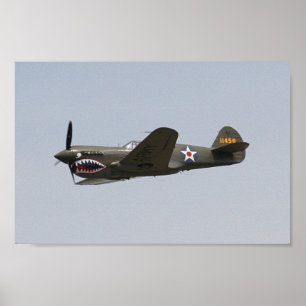 40 Warhawk Poster
