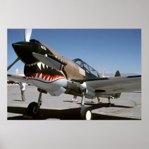 40 Warhawk Poster