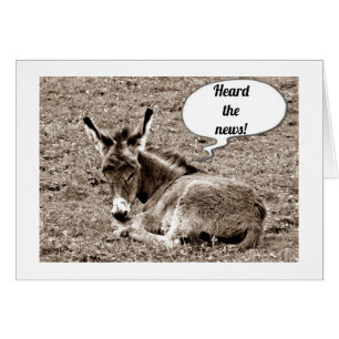 ***40TH*** BIRTHDAY ADVICES OF BABY MULE HÄLSNINGSKORT