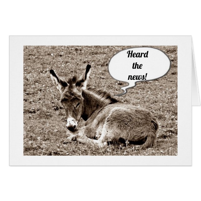 ***40TH*** BIRTHDAY ADVICES OF BABY MULE HÄLSNINGSKORT (Framsidan Horizontal)