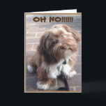 **40th BIRTHDAY** OH NO SAYS PUPPY Kort<br><div class="desc">TACK FÖR ATT JAG STOPPADE ETT AV MINA ÅTTA LAGER.</div>