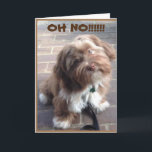 **40th BIRTHDAY** OH NO SAYS PUPPY Kort<br><div class="desc">TACK FÖR ATT JAG STOPPADE ETT AV MINA ÅTTA LAGER.</div>