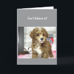 **40th** BIRTHDAY ÖNSKEMÅL FRÅN EN KUTPUPPY Kort<br><div class="desc">TACK FÖR ATT STOPPA MED ETT AV MINA ÅTTA LAGER!</div>