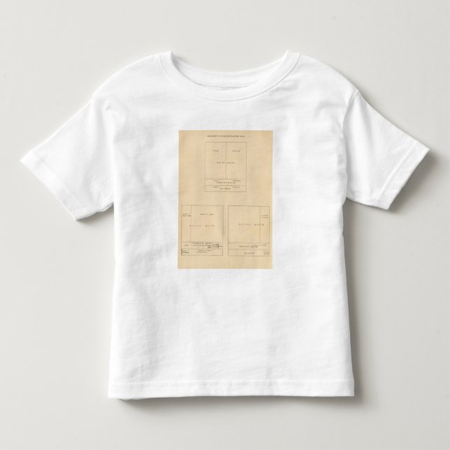 41 inslag av befolkningen 1900 tee (Framsida)