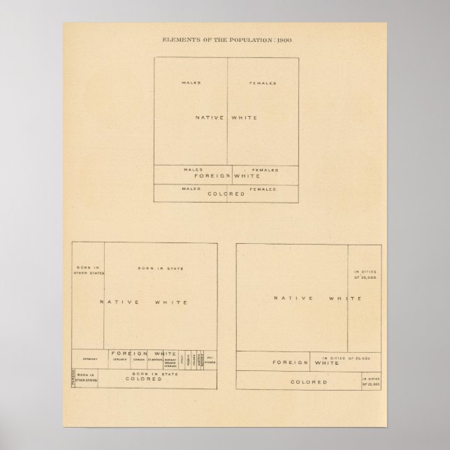 41 Inslag befolkning 1900 Poster (Framsidan)
