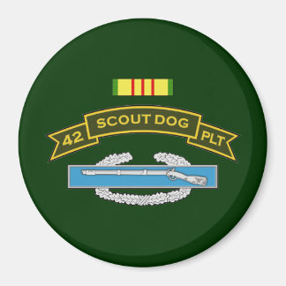 42d IPSD med CIB Magnet