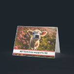 43:e Cute Highland Calf Funny Birthday Card Helgkort<br><div class="desc">Säg till någon att de tittar bra för 43:e Grattis på födelsedagen. Cute Card med en kalv från Highland,  för de är något oemotståndliga.</div>
