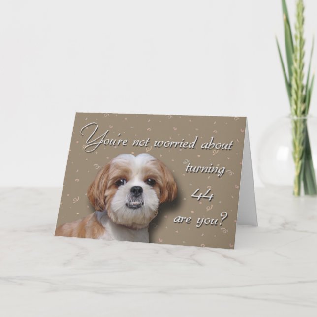 44:e födelsedag Hund Kort (Framsida)