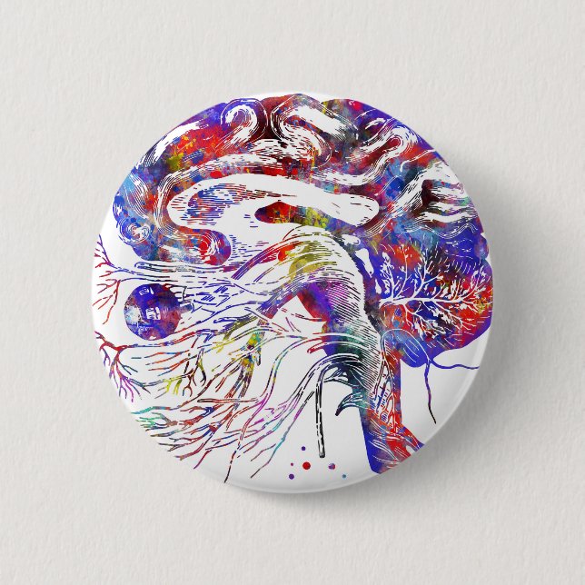 4522bBrain cranial nerver, cranial nerver för Knapp (Framsida)