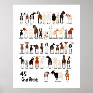 45 breeds of goats chart poster