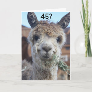 **45** JAG KAN INTE TRO ATT DET SÄGER LLAMA KORT