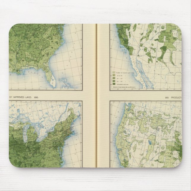 47 Maj 1890 Musmatta (Framsidan)