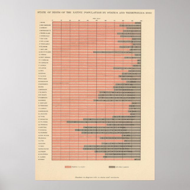 48 Födelsestat 1900 Poster (Framsidan)