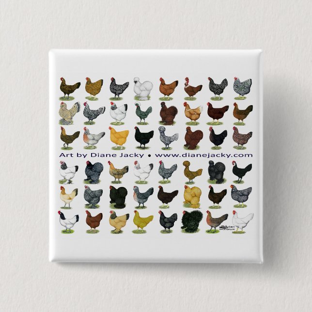 48 Hen Promo Knapp (Framsida)