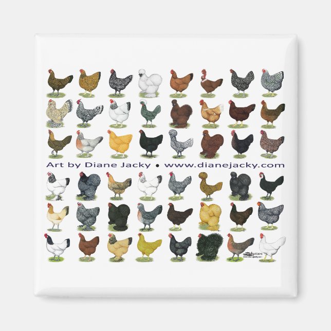 48 Hen Promo Magnet (Framsidan)
