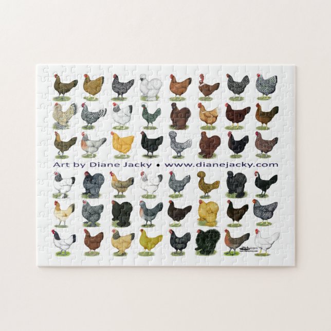 48 Hen Promo Pussel (Horisontell)