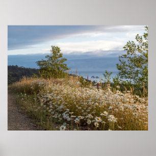 48" x 36", den tvilling- stensommaren beskådar på poster
