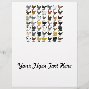 49 kycklingar reklamblad