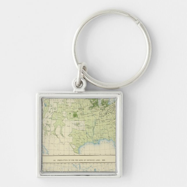 49 råg 1890 fyrkantig silverfärgad nyckelring (Framsidan)