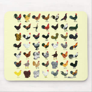 49 Tuppar Musmatta