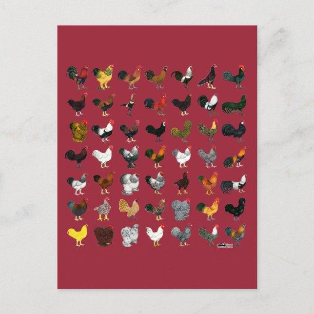 49 Tuppar Vykort (Framsida)