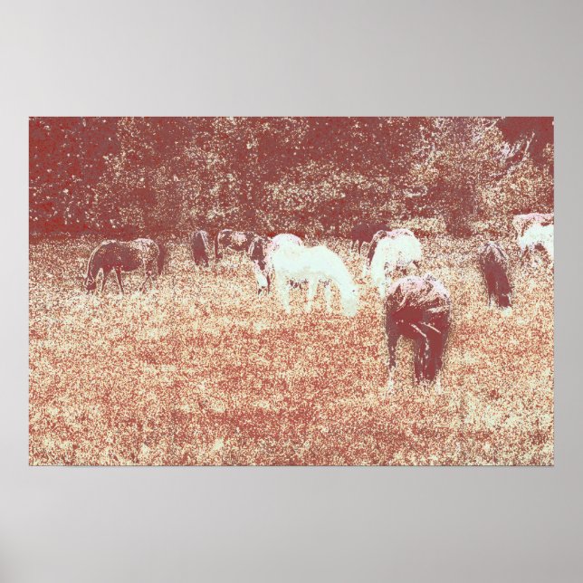 49c poster (Framsidan)