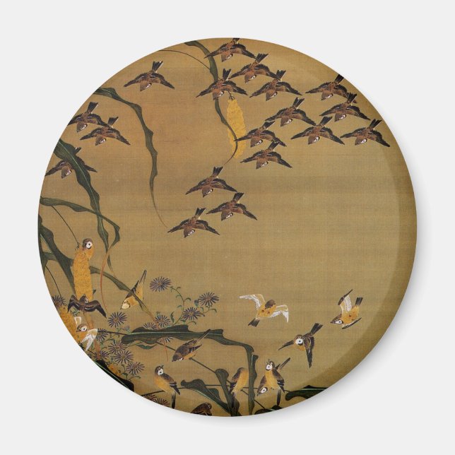4. 秋 塘 群 雀 図, 若 Sparrows Flock, Jakuchū Magnet (Framsidan)