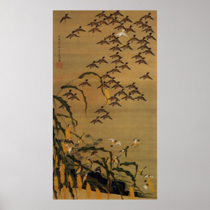 4. 秋 塘 群 雀 図, 若 Sparrows Flock, Jakuchū Poster