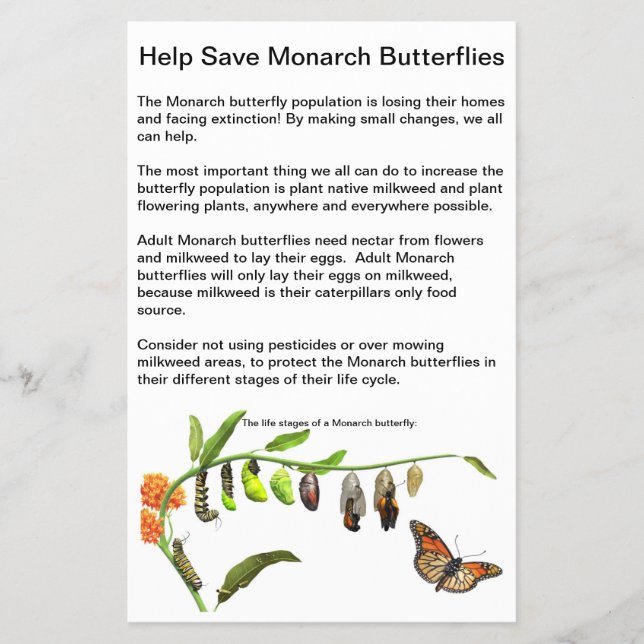 4,5 tum x 5,6 tum Papper Flytande Flygblad (Framsidan)