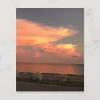 4,5 tum x 5,6 tum Papper Lakan