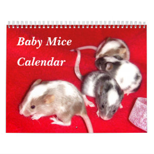 4 Baby variegerat möss som växer upp Kalender