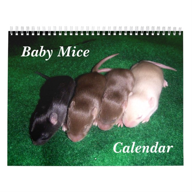 4 babymöss som växer upp kalender (Omslag)