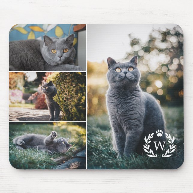 4 Cat Photo Collage Tass Laurel Wandeann Monogram Musmatta (Framsidan)