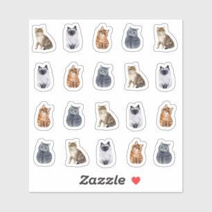 4 Cute Cats 20 Stickers Klistermärken