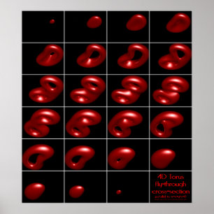 4 d Torus fly genom kor-sektionen Poster