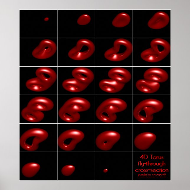 4 d Torus fly genom kor-sektionen Poster (Framsidan)