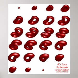 4 d Torus fly genom kor-sektionen Poster