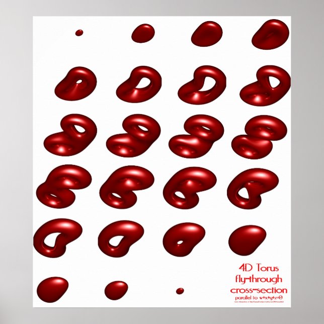 4 d Torus fly genom kor-sektionen Poster (Framsidan)
