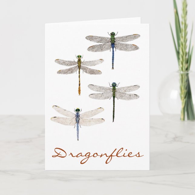 4 Dragonfly Art Kort (Framsida)