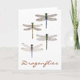 4 Dragonfly Art Kort