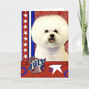 4:e juli - Bichon Frise Kort