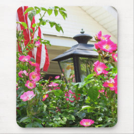 4:e juli-blommorna - Martha's Vineyard Musmatta