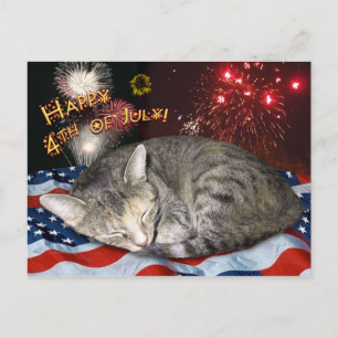 4:e juli Katt och Fireworks Vykort