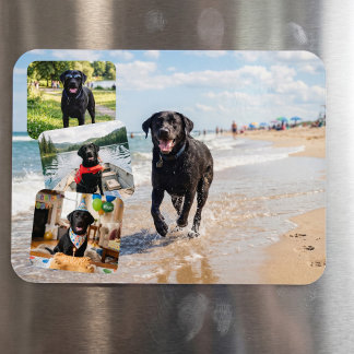 4 Foto Collage Personlig Anpassad Magnet