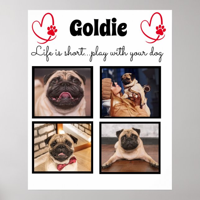 4-foto hundkrage collage - anpassat familj husdjur poster (Framsidan)